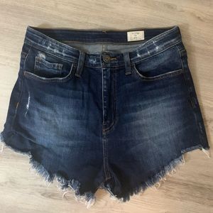 Buckle/Bridge by GLY high rise shorts size 27